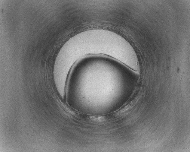 X0000060790185200511241854