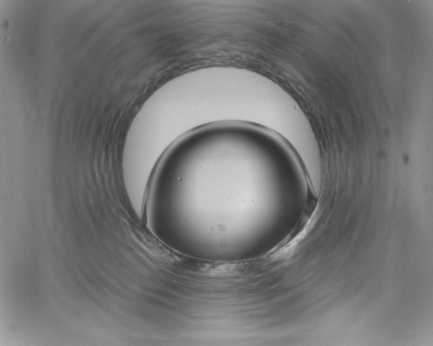 X0000060790186200511241854