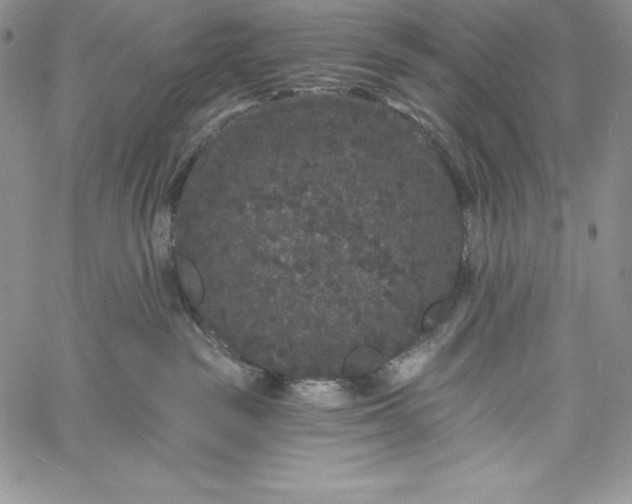 X0000060790189200511241854