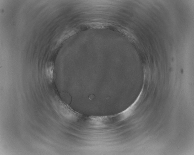 X0000060790190200511241854