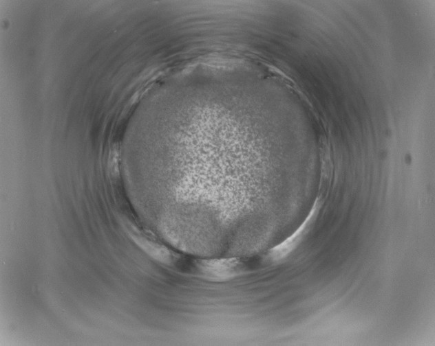 X0000060790191200511241854