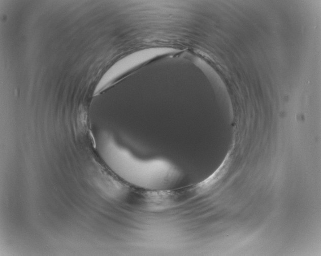 X0000060790192200511241854