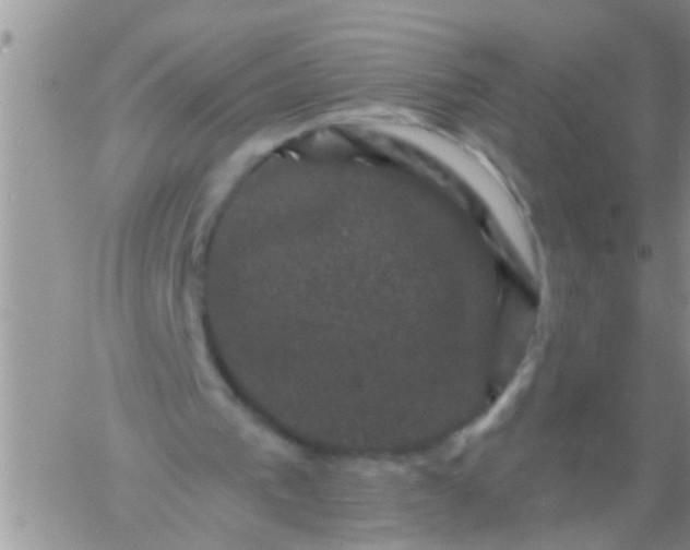 X0000060790193200511241854