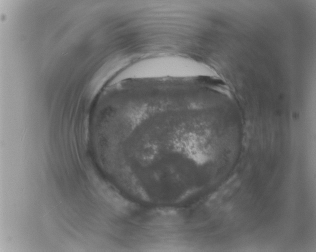 X0000060790194200511241853