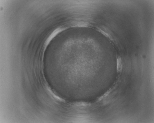 X0000060790195200511241853