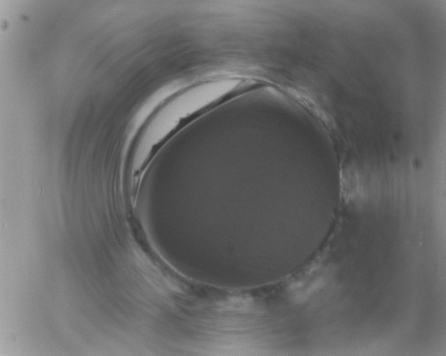 X0000060790196200511241853