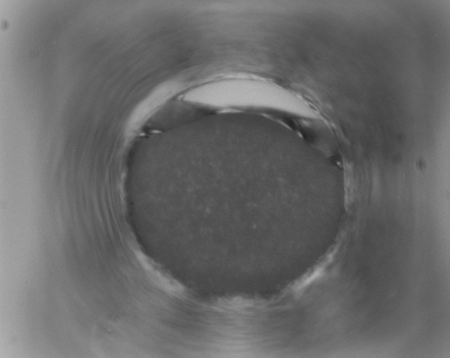 X0000060790197200511241853