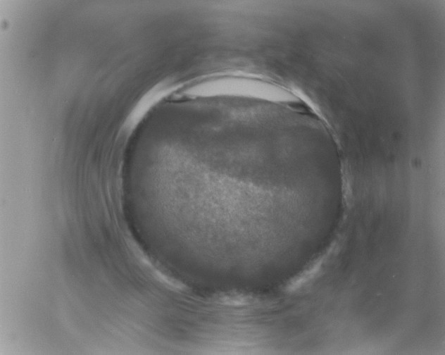 X0000060790199200511241853