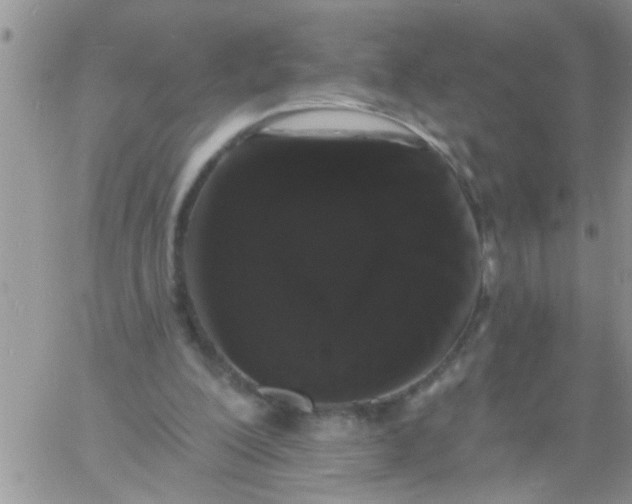 X0000060790200200511241853