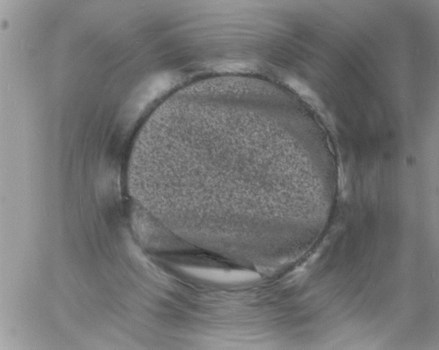 X0000060790201200511241853