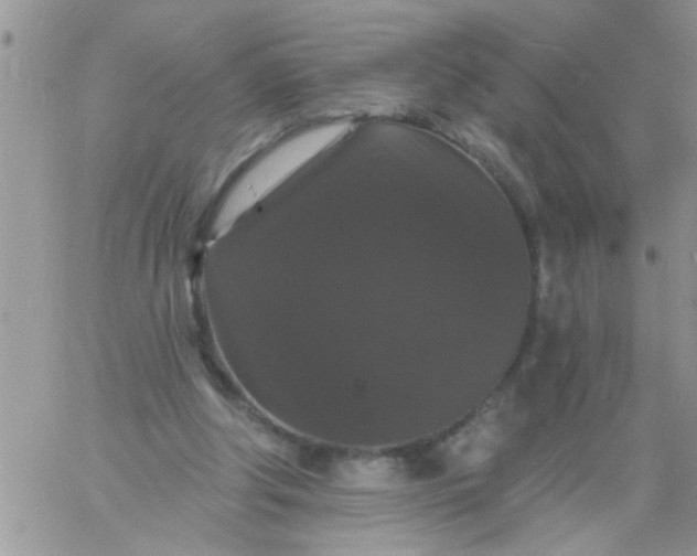 X0000060790202200511241853