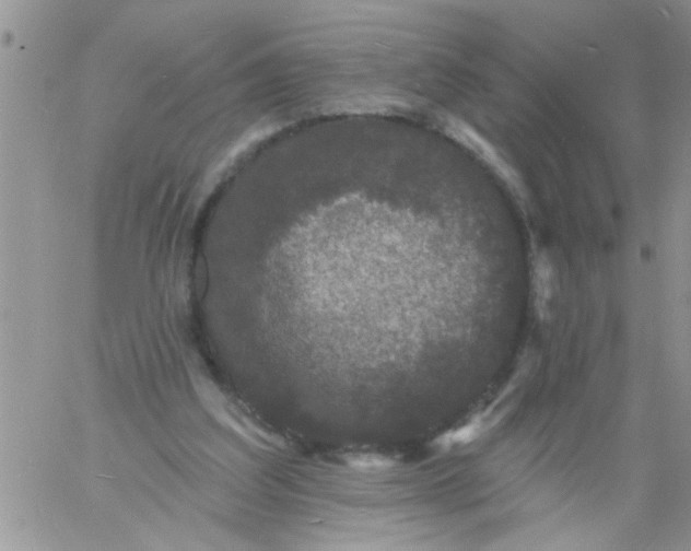 X0000060790203200511241853