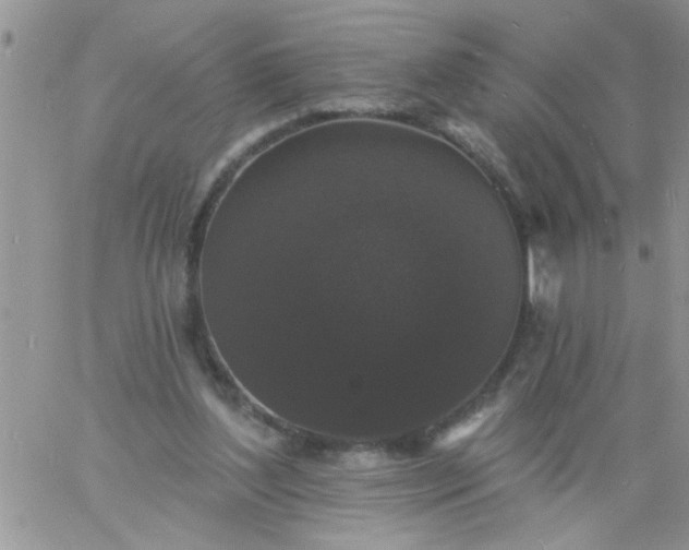 X0000060790204200511241853