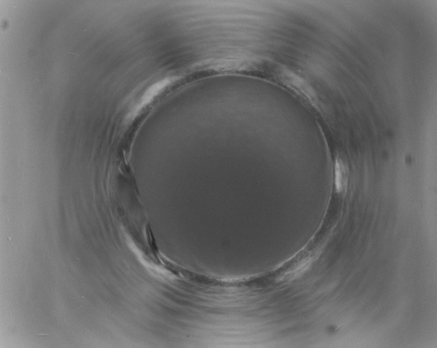 X0000060790205200511241853