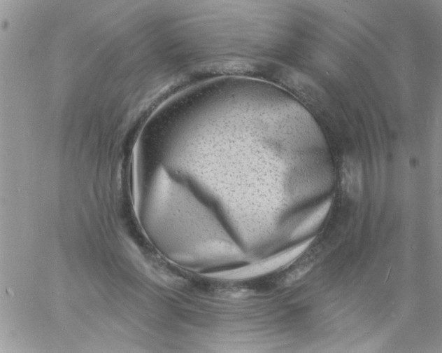 X0000060790206200511241853