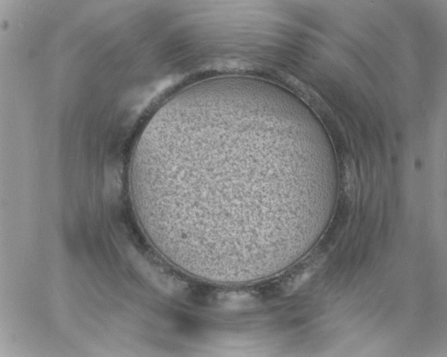 X0000060790208200511241853