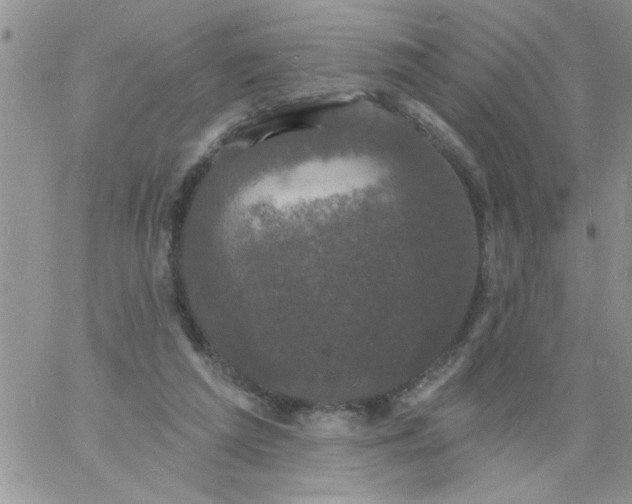 X0000060790209200511241853