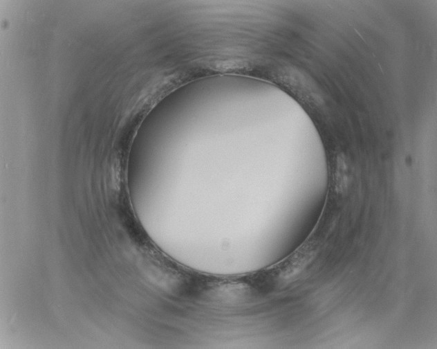 X0000060790210200511241853