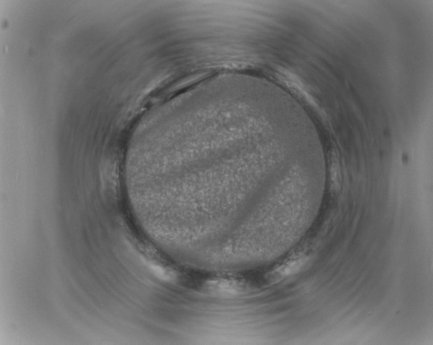 X0000060790211200511241853