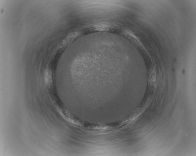 X0000060790213200511241853