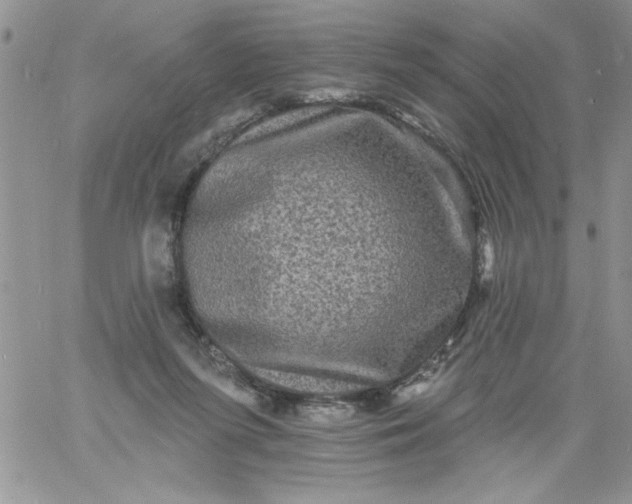 X0000060790215200511241853