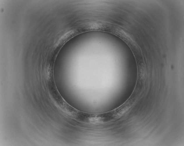 X0000060790216200511241853