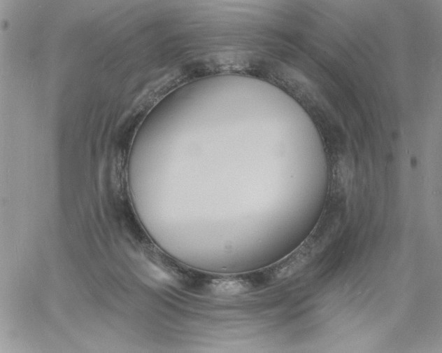 X0000060790218200511241853