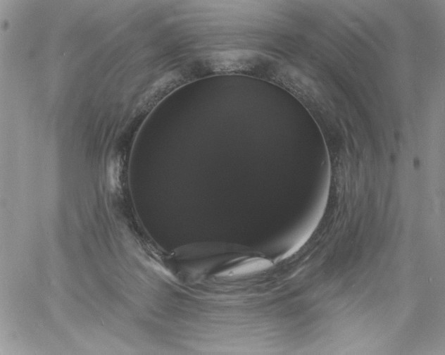 X0000060790219200511241853