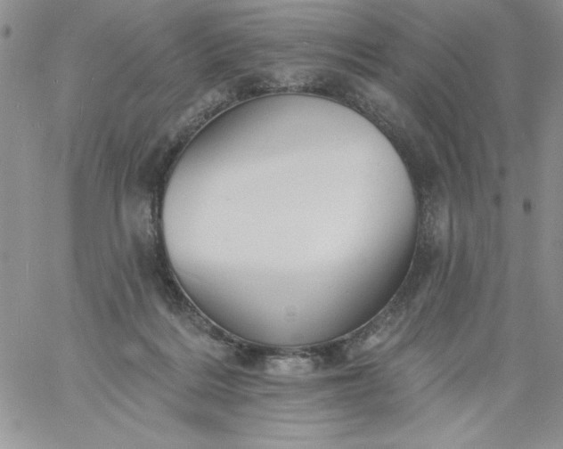 X0000060790220200511241853