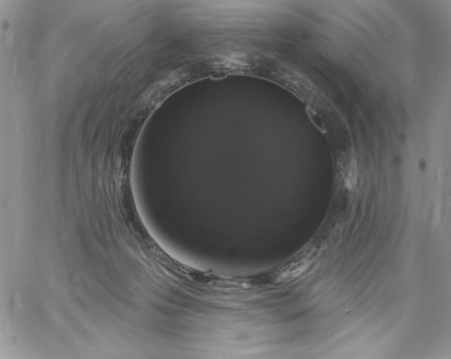 X0000060790223200511241853