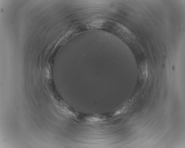 X0000060790224200511241853