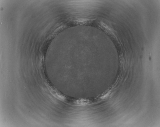 X0000060790225200511241853