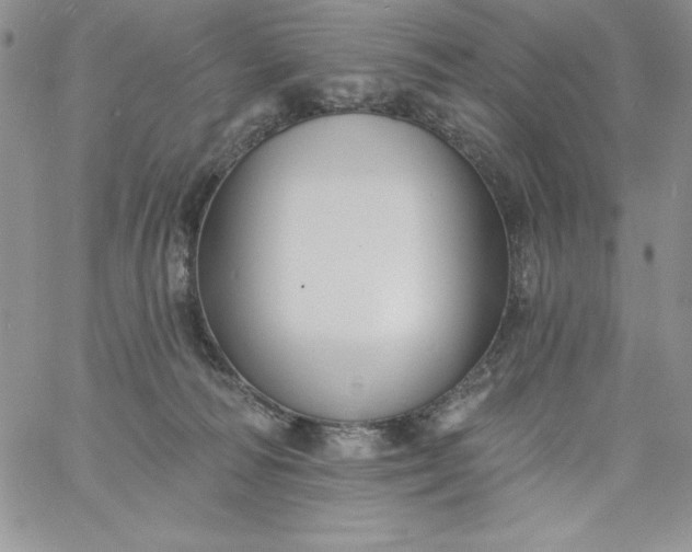 X0000060790226200511241853