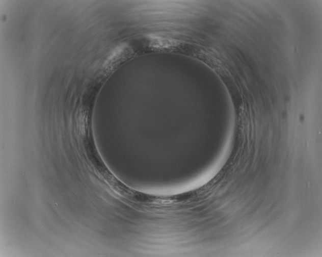 X0000060790227200511241853