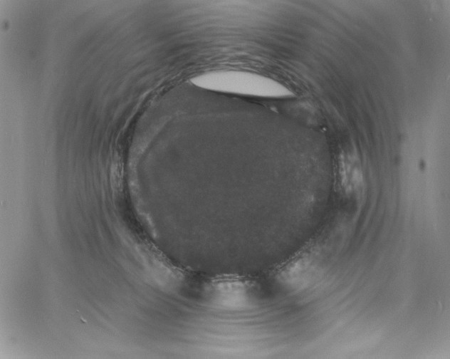 X0000060790228200511241853