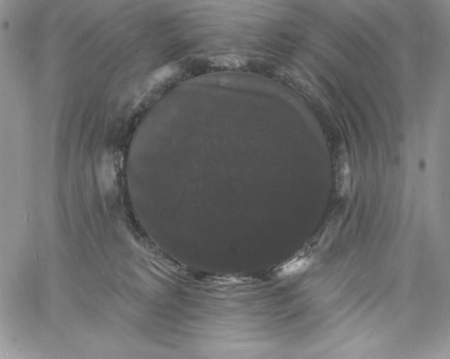 X0000060790229200511241853