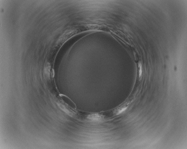 X0000060790231200511241853