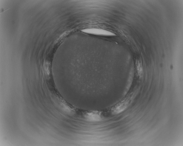 X0000060790232200511241853