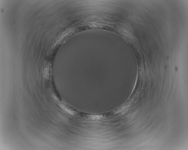 X0000060790233200511241853