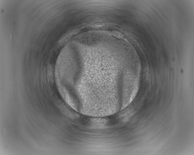 X0000060790234200511241853