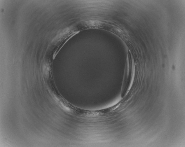 X0000060790235200511241853