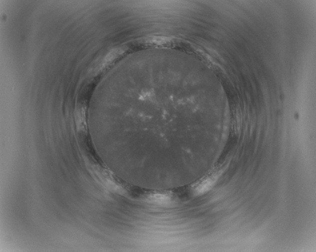 X0000060790236200511241853