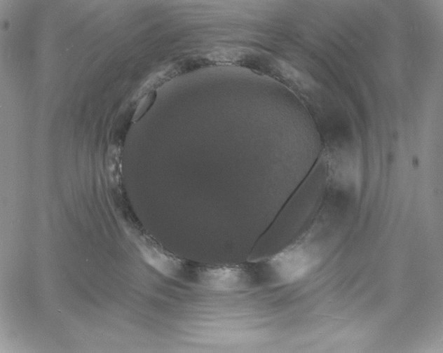 X0000060790237200511241853