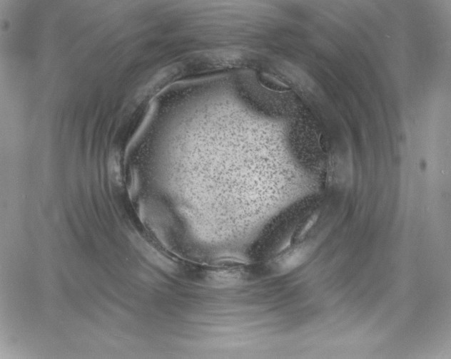 X0000060790238200511241853