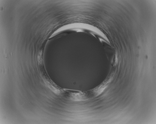 X0000060790239200511241853