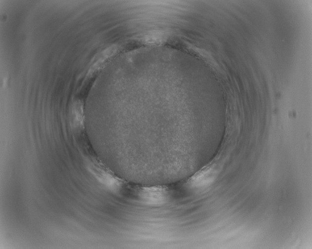 X0000060790240200511241853