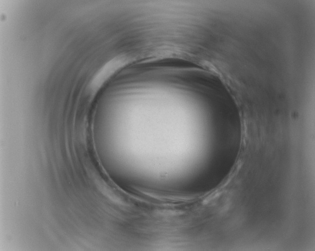 X0000060790242200511241852