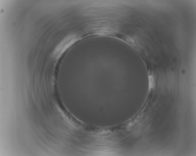 X0000060790243200511241852