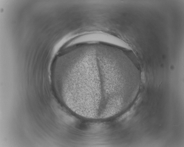 X0000060790246200511241852