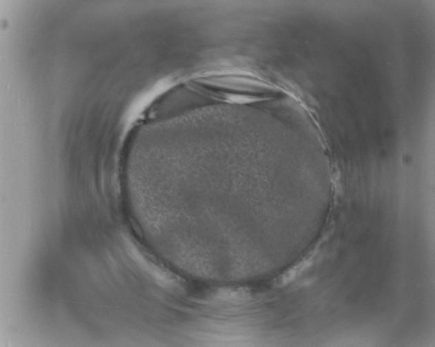 X0000060790248200511241852